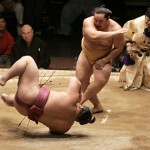 SUMO-GATE: PIÙ SONO PESANTI, PIÙ RUMORE FANNO CADENDO